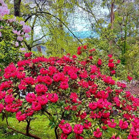 Melbourne Topview Villa In Dandenong Ranges Near Skyhigh Kalorama المظهر الخارجي الصورة