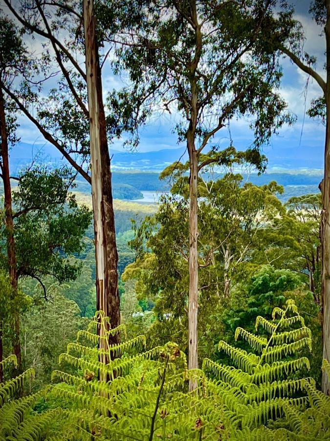 Melbourne Topview Villa In Dandenong Ranges Near Skyhigh Kalorama المظهر الخارجي الصورة