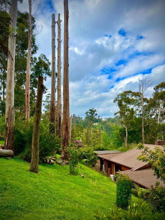 Melbourne Topview Villa In Dandenong Ranges Near Skyhigh Kalorama المظهر الخارجي الصورة