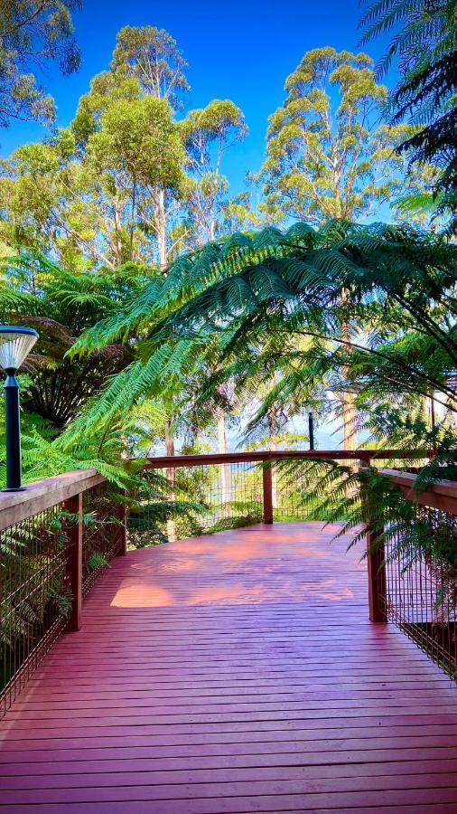 Melbourne Topview Villa In Dandenong Ranges Near Skyhigh Kalorama المظهر الخارجي الصورة
