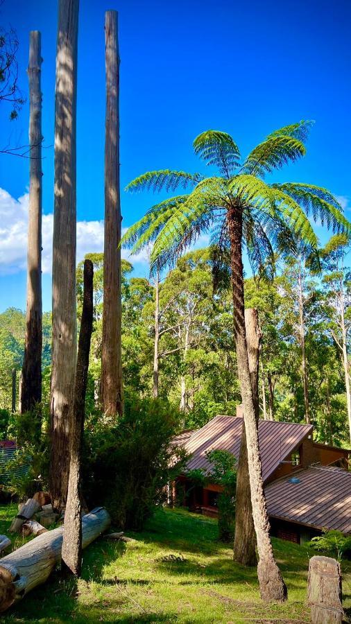 Melbourne Topview Villa In Dandenong Ranges Near Skyhigh Kalorama المظهر الخارجي الصورة