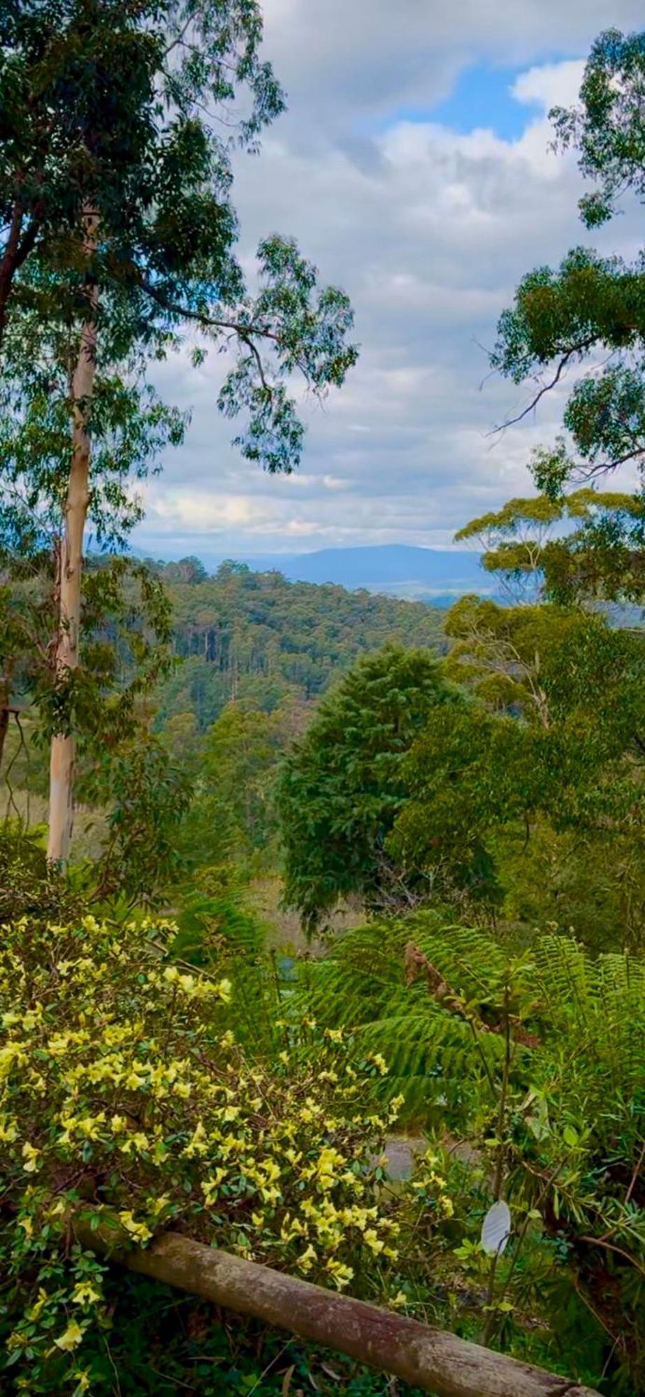 Melbourne Topview Villa In Dandenong Ranges Near Skyhigh Kalorama المظهر الخارجي الصورة