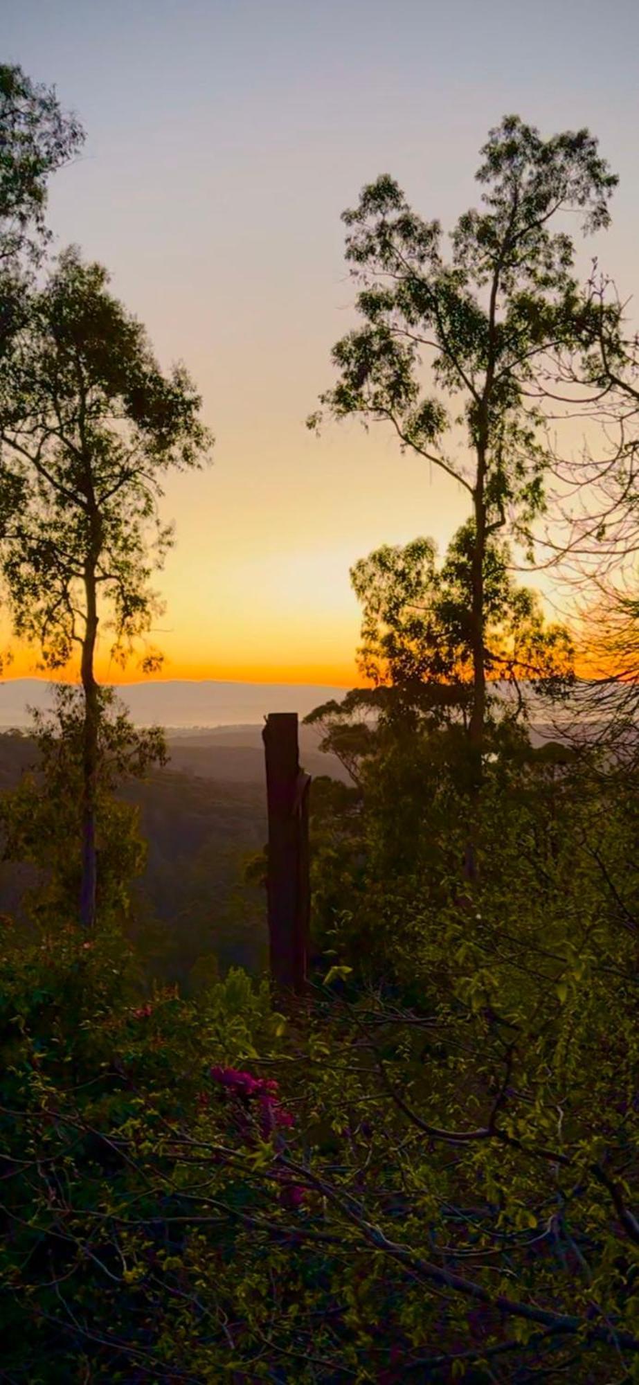 Melbourne Topview Villa In Dandenong Ranges Near Skyhigh Kalorama المظهر الخارجي الصورة