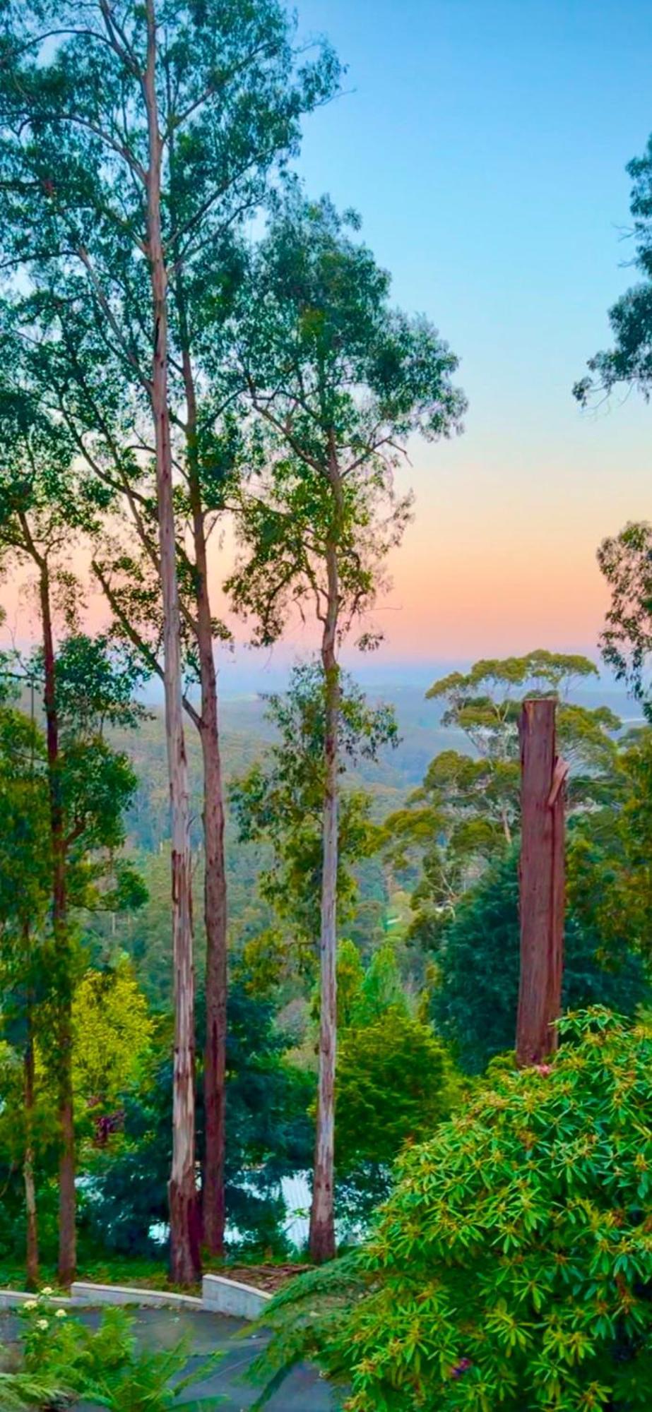 Melbourne Topview Villa In Dandenong Ranges Near Skyhigh Kalorama المظهر الخارجي الصورة