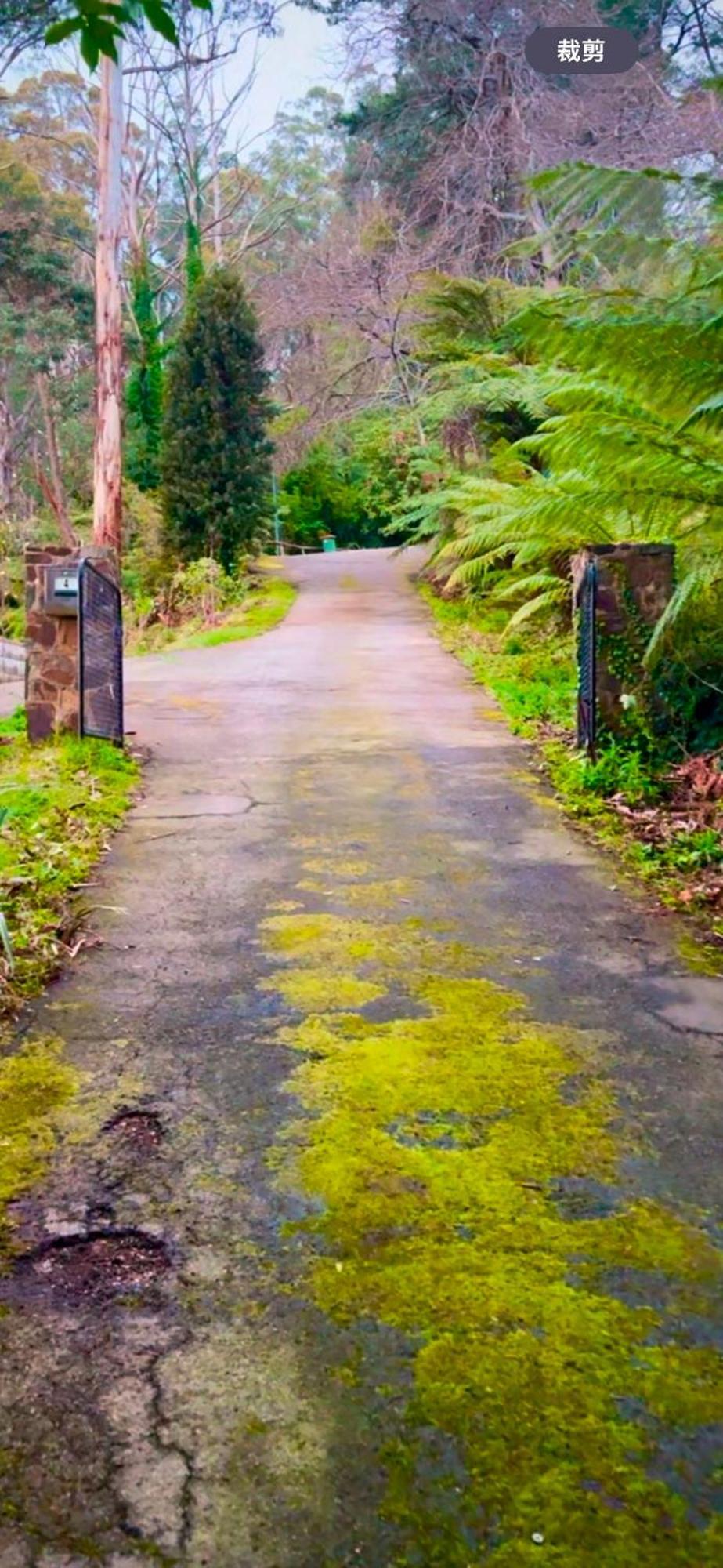 Melbourne Topview Villa In Dandenong Ranges Near Skyhigh Kalorama المظهر الخارجي الصورة